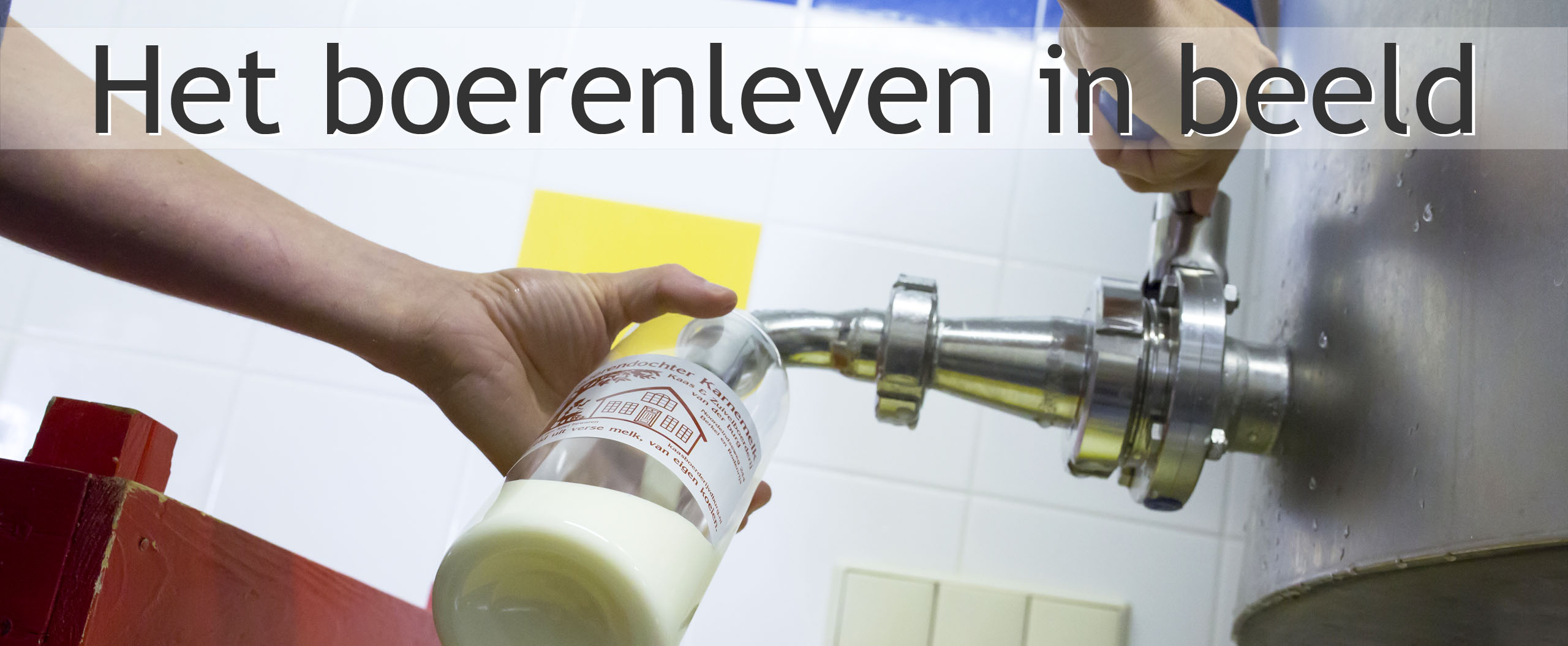 blog karnemelk en boter maken