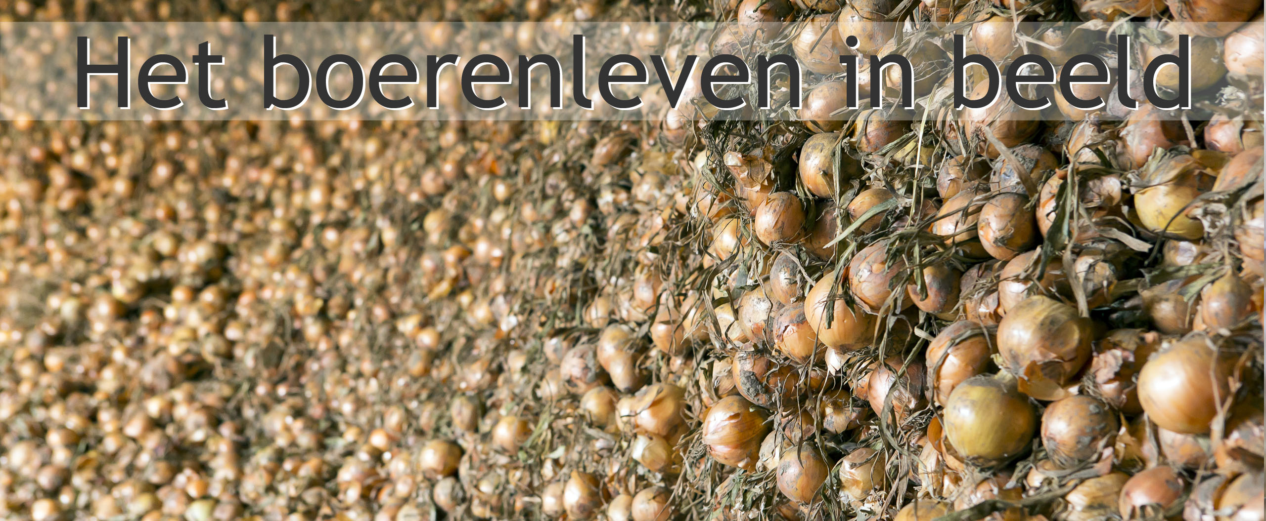 uienteelt