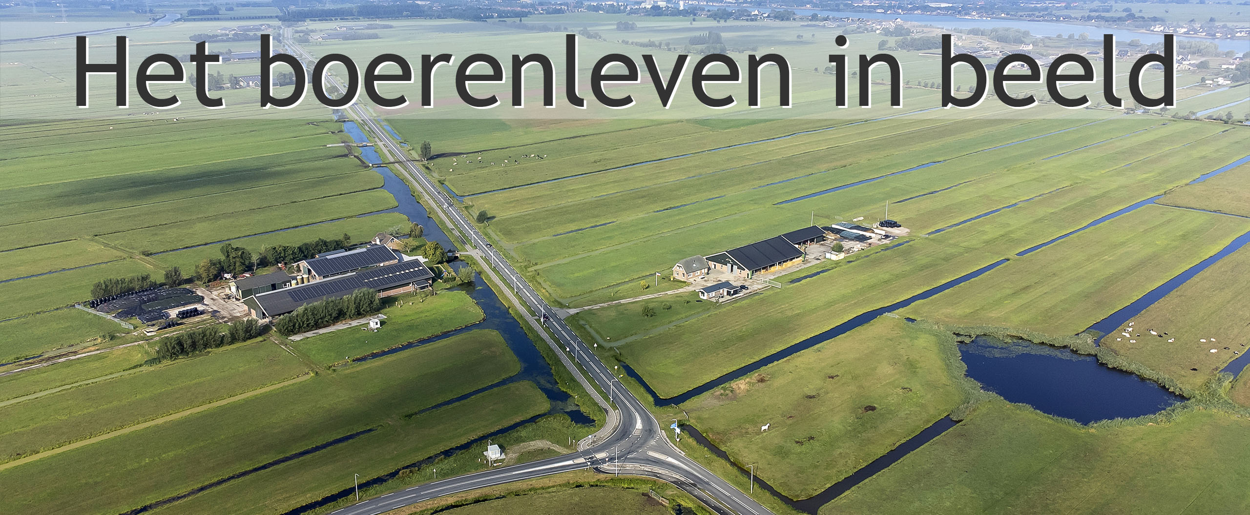 boeren alblasserwaard