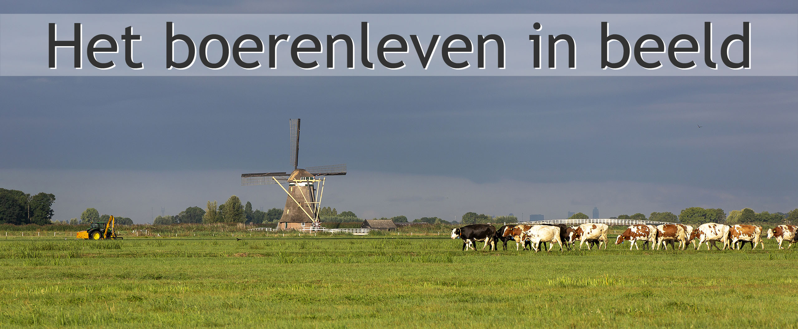 boeren alblasserwaard