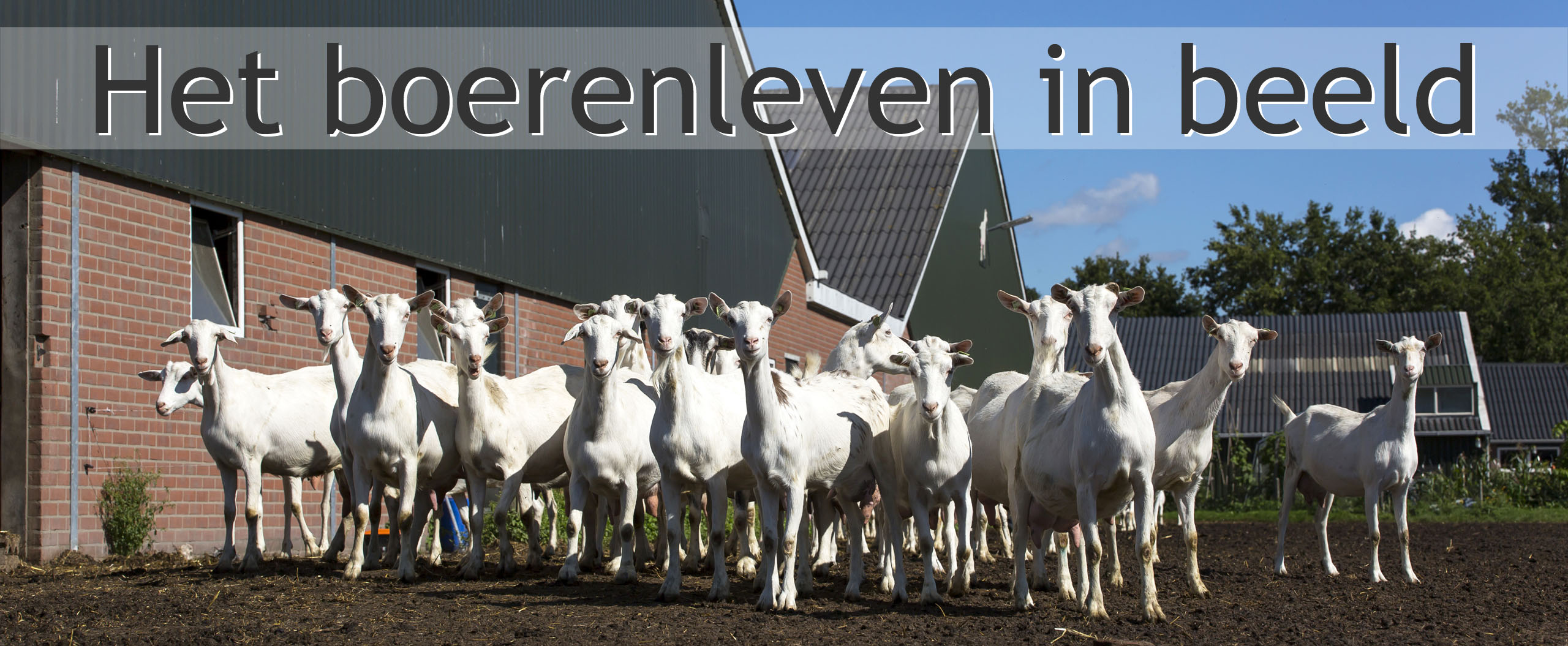 biologische geiten