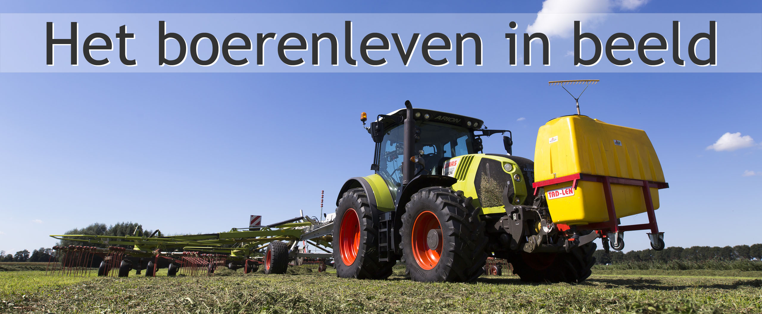 grasland wiersen
