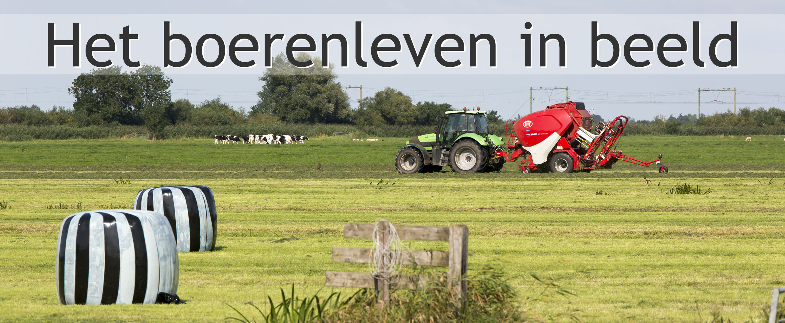 balen persen