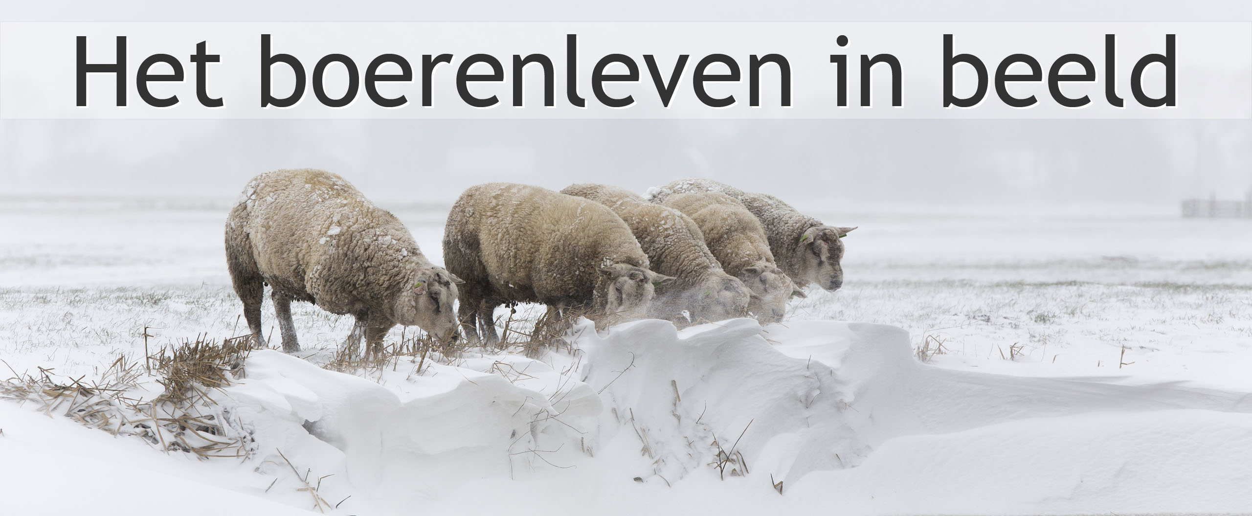 sneeuw 2021