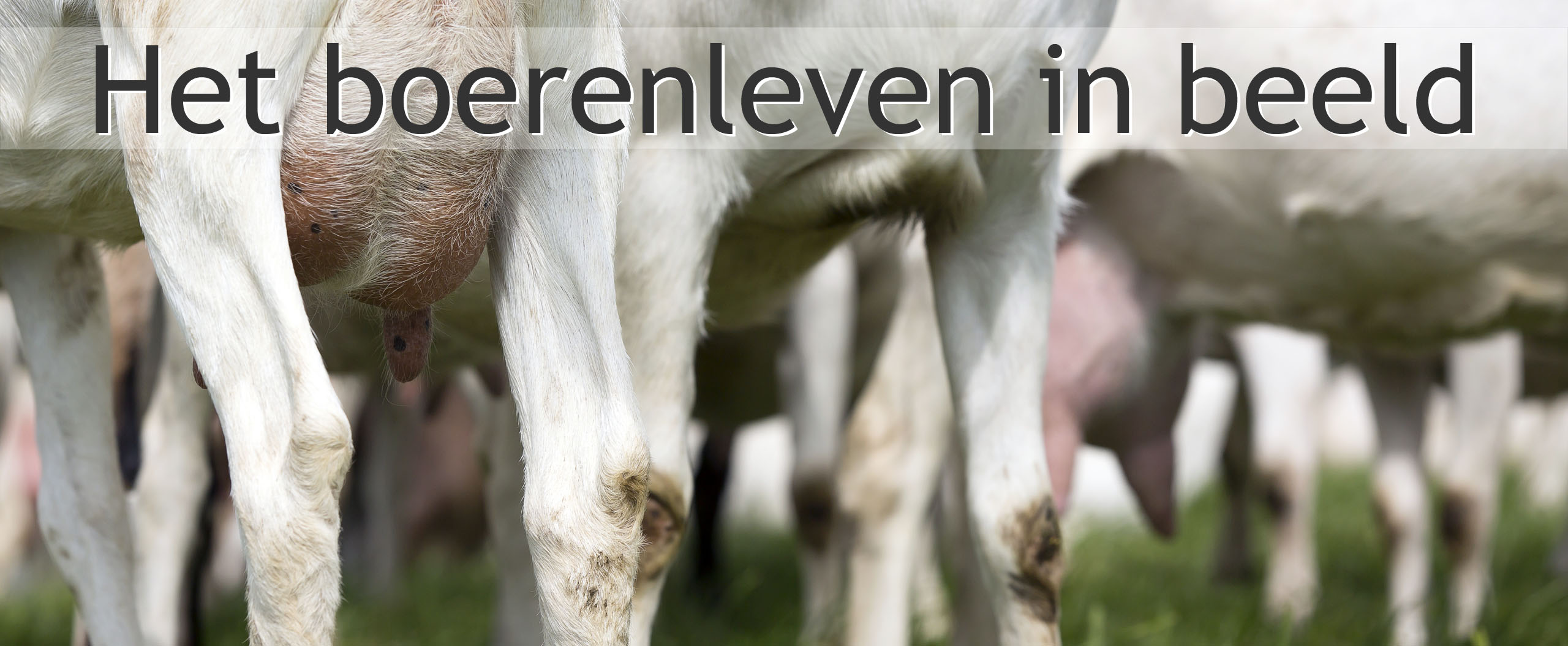 biologische geiten