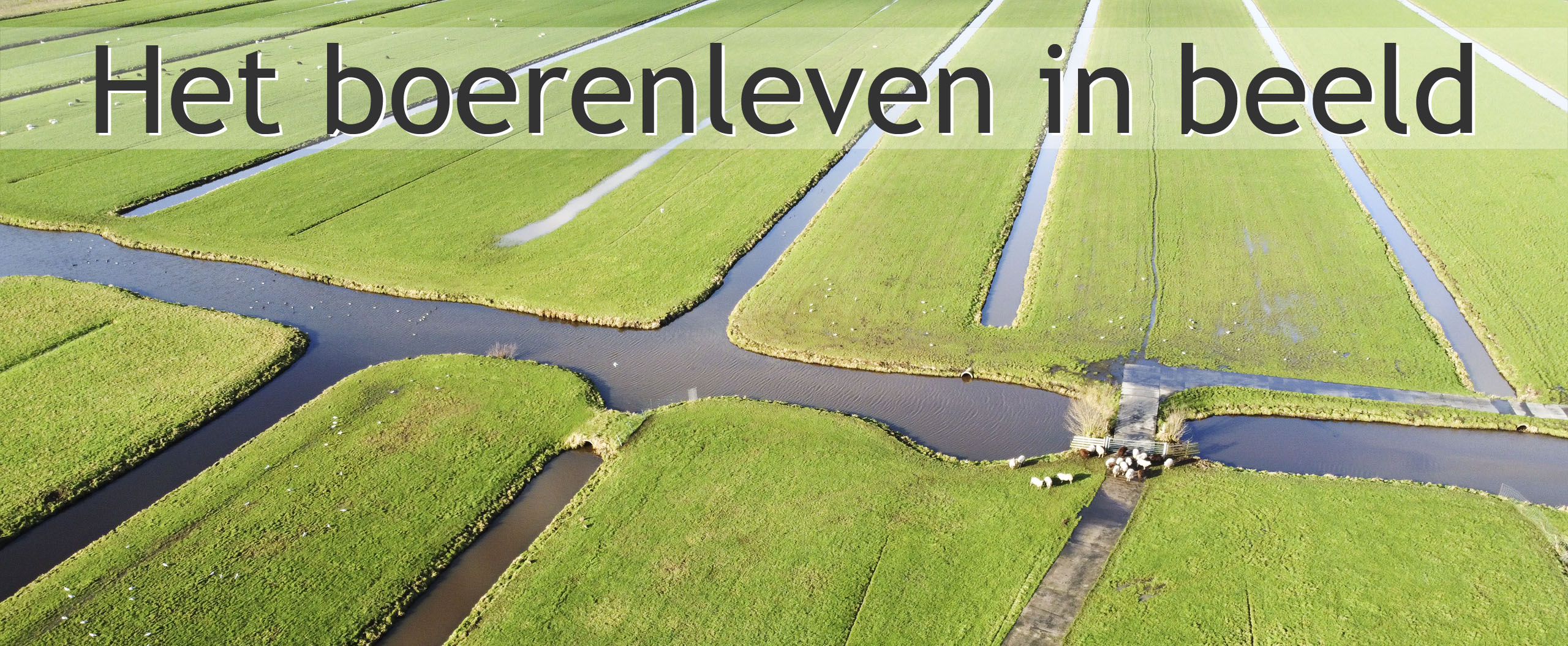 dronefotografie boerderij