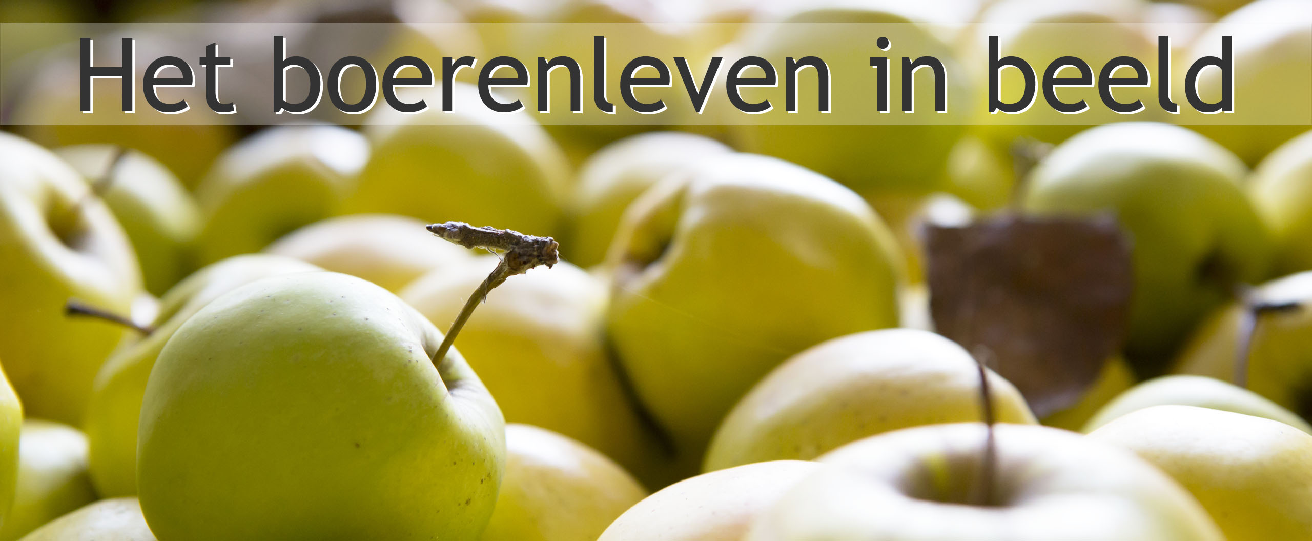 appels landwinkel