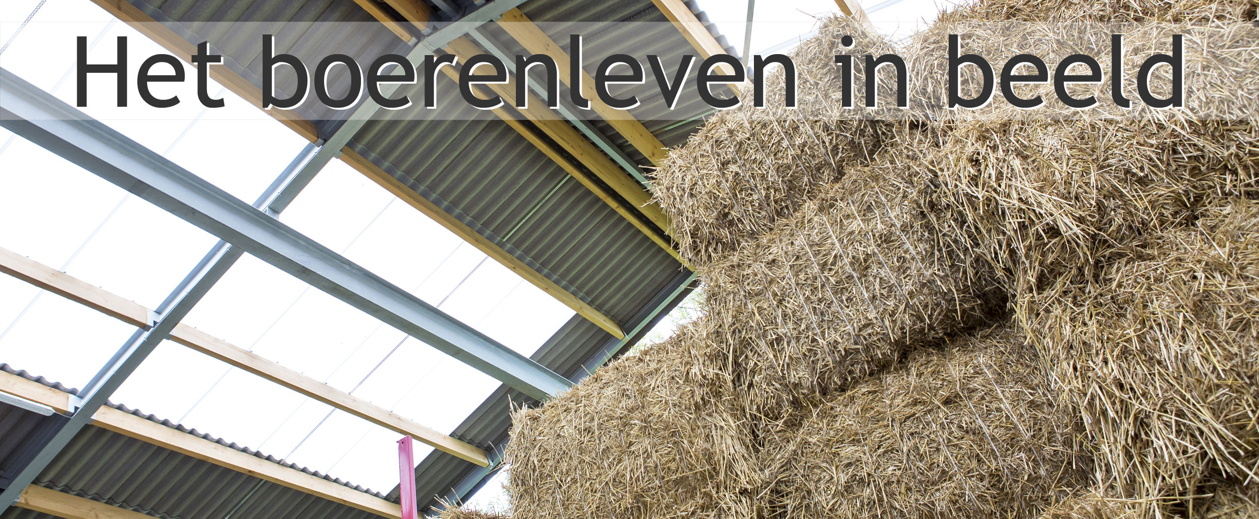 strobalen boerderij