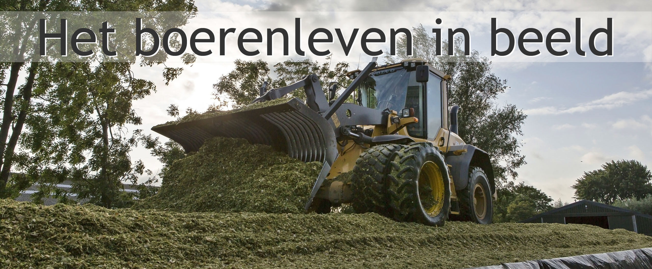 mais inkuilen