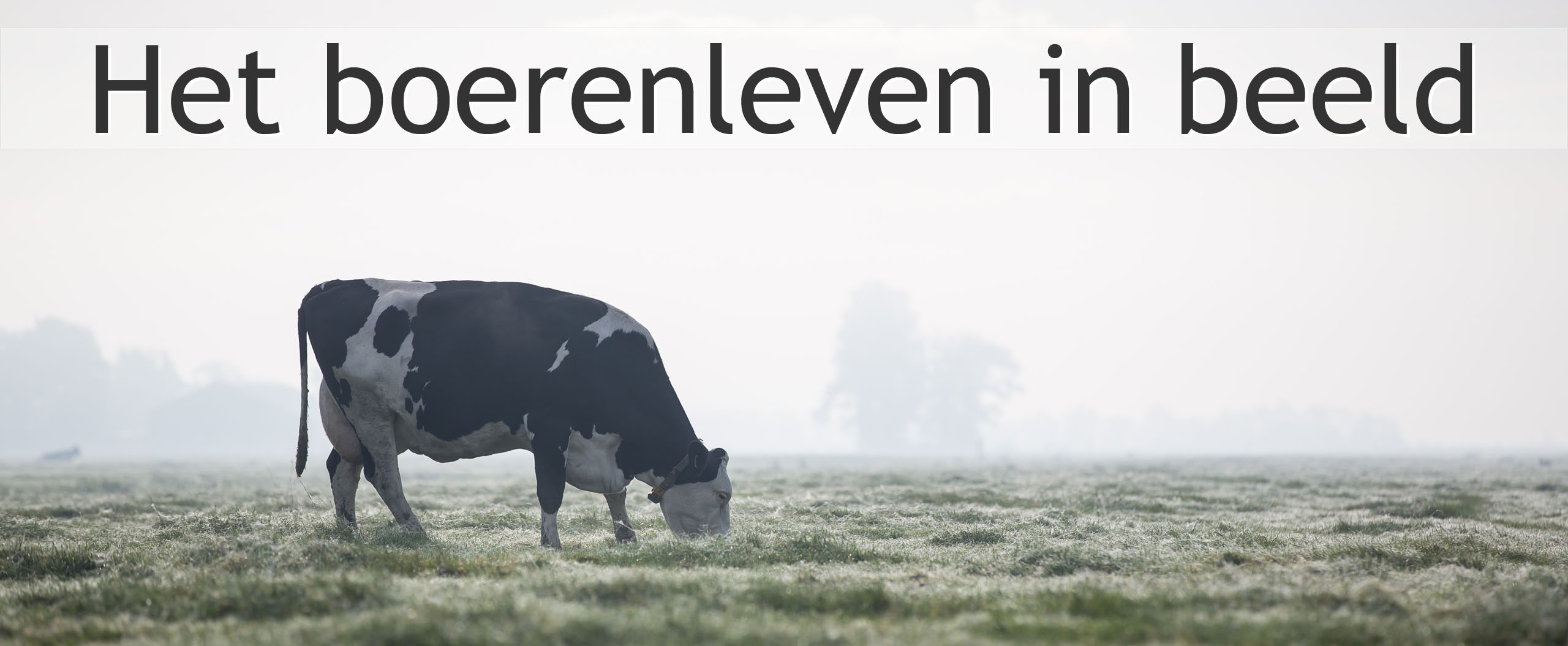 boerenleven in beeld