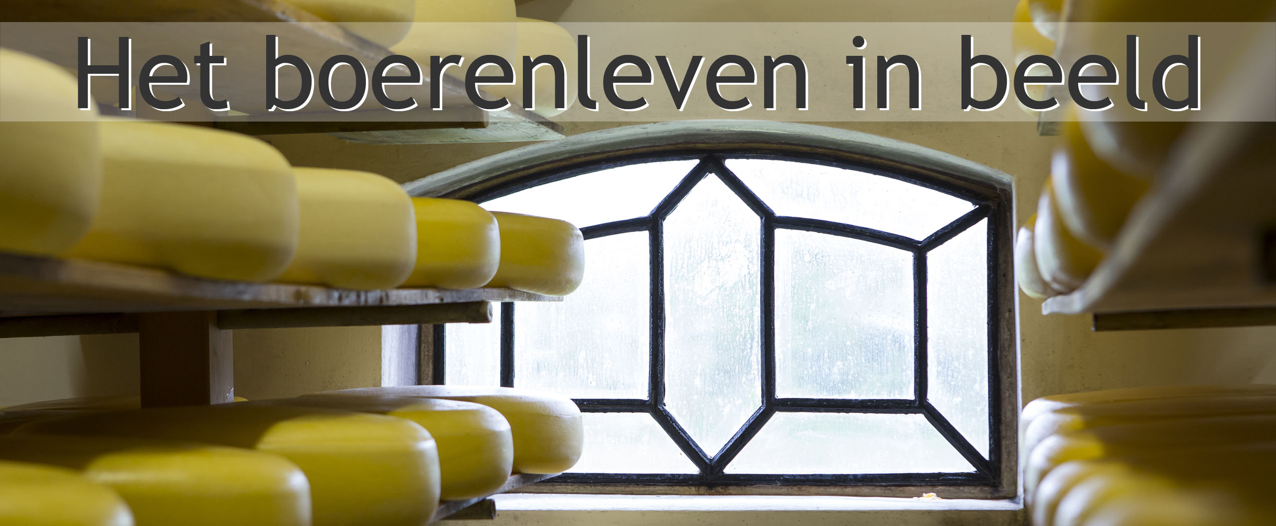 boerenkaas