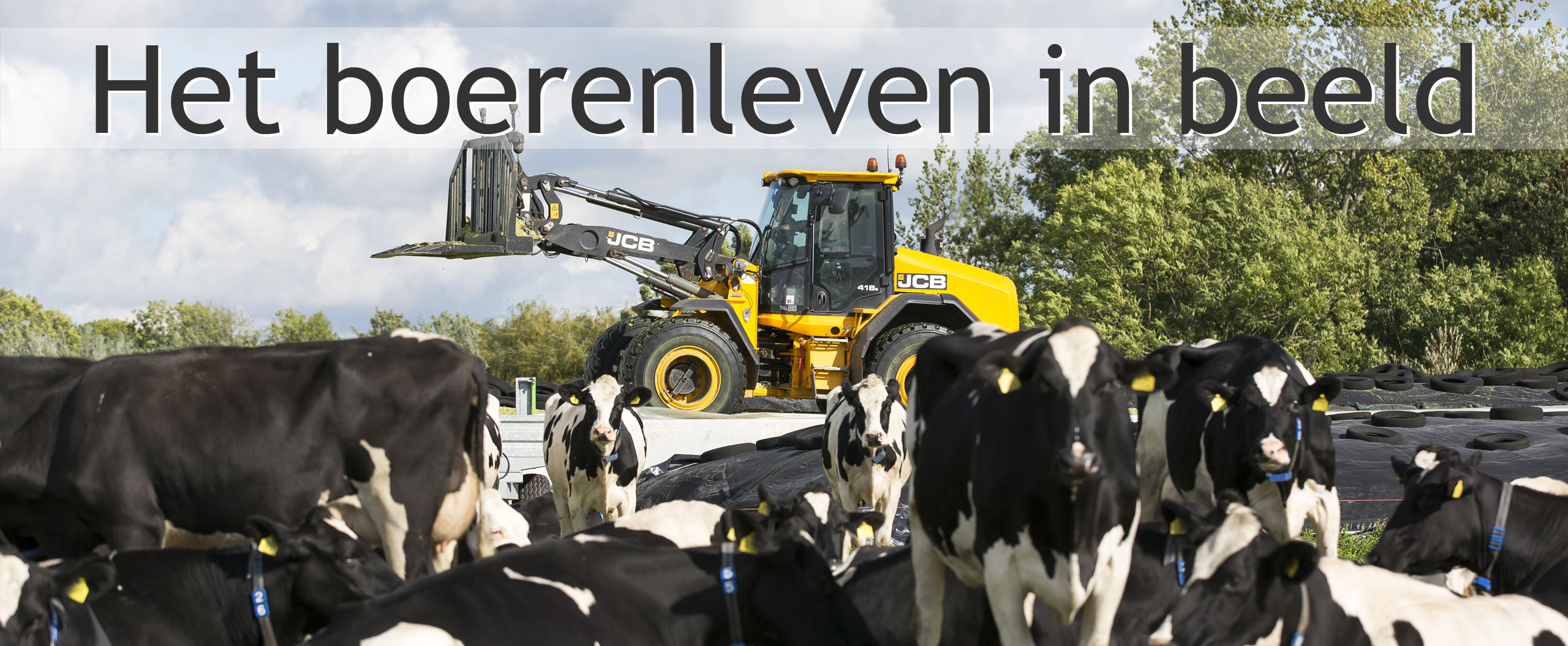 mais inkuilen