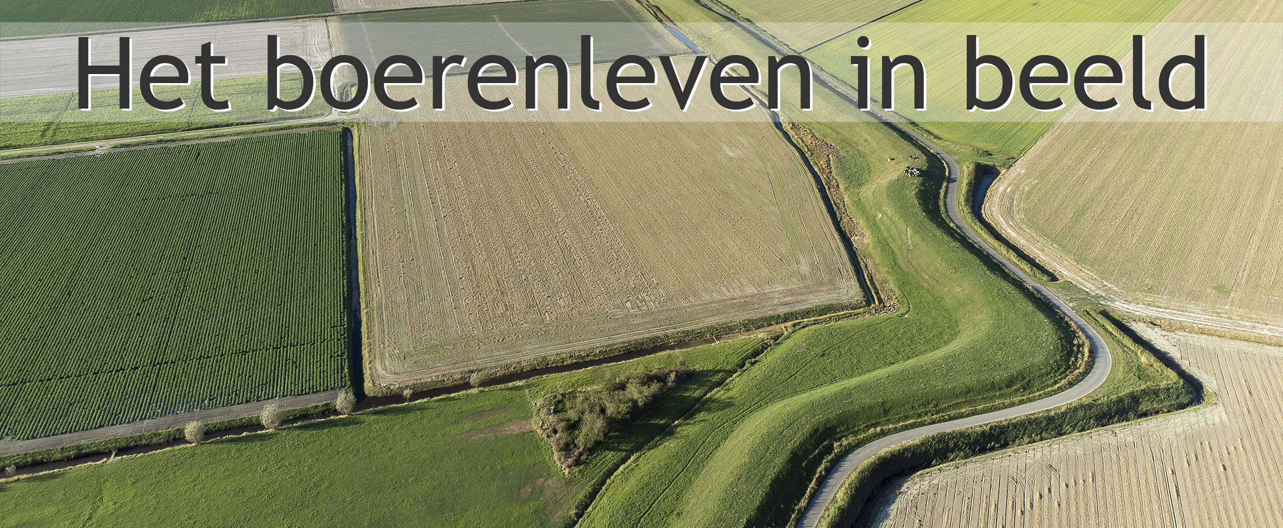 Schouwen-Duiveland