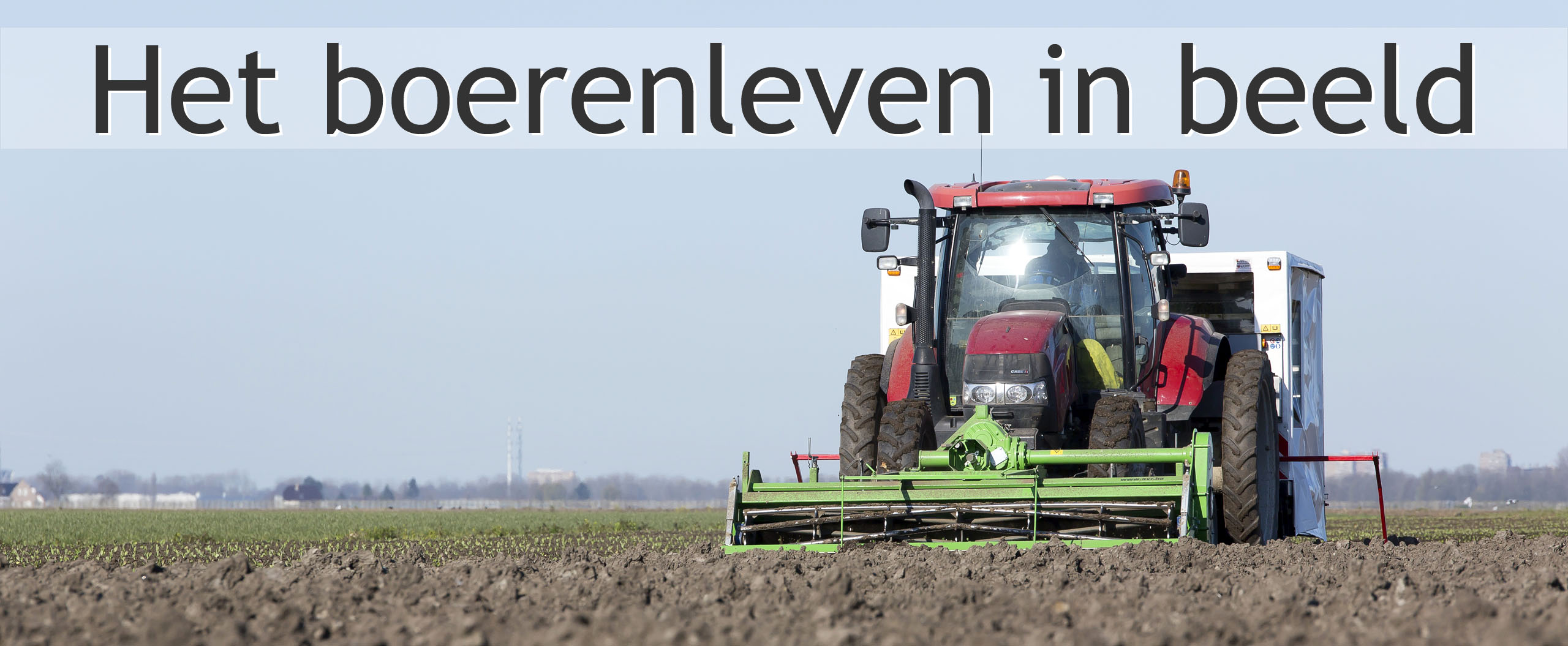 spruiten poten